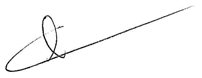 Commissioner Demerson's signature